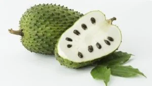 9 Manfaat Daun Sirsak, Salah Satunya Mencegah Penuaan Dini