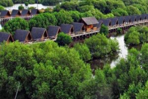 Hutan Adat Bukan Lagi Milik Negara, Ini Kata Sekretaris JKMA