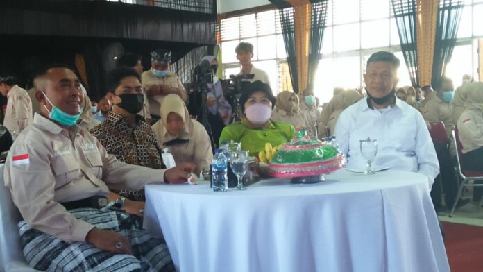 umar 2