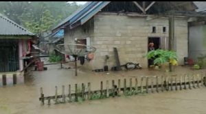 Puluhan Rumah Terendam Banjir, Bupati Buton Perintahkan OPD Bantu Warga