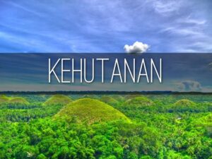 Kelompok Tani di Buton Saling Ancam Soal Pengukuran HKm, Dinas Kehutanan Sultra Diduga sebagai Biang Kerok