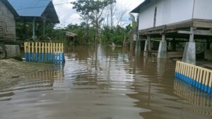 Banjir Kembali Melanda Satu Desa di Buton, Lebih dari 10 Rumah Terendam Air
