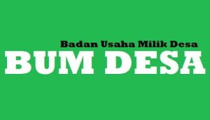 Habiskan Ratusan Juta untuk Beli Mobil Pick Up, BUMDES Sukamaju Tak Hasilkan PAD, Kades: Tidak Ada yang Mau Atur Mobilnya