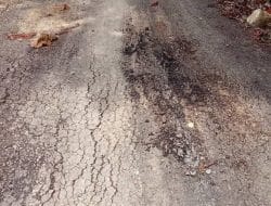 Menyoal Jalan Rusak di Rejosari Buton, Kades Mengaku Sudah Pernah Ingatkan Kontraktor