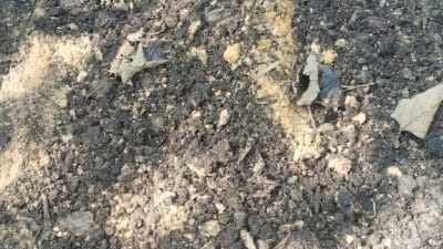 Diduga Dikerja Asal Jadi, Kejari Buton Sudah Periksa 7 Saksi pada Pekerjaan Jalan di Rejosari Buton, Kerugian Negara Capai Rp 100 Juta Lebih