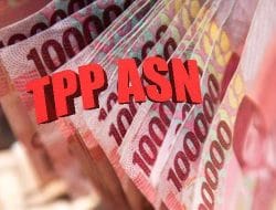 Perkembangan Terkini Dugaan Kasus Korupsi TPP ASN Buton, Kejaksaan Sudah Periksa 145 Saksi, Diantaranya Mantan Sekda dan Para Kepala OPD
