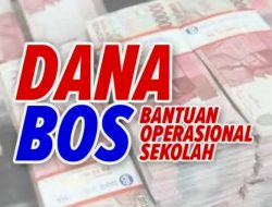Dana BOS di SDN 73 Buton Capai Puluhan Juta, Papan Tulis yang Digunakan Rusak Parah