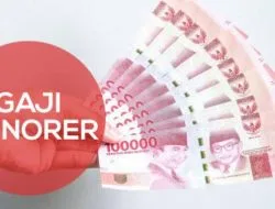 Nasib Honorer di Buton Belum Terima Gaji Selama 8 Bulan, Alasannya Masih Itu-itu Saja