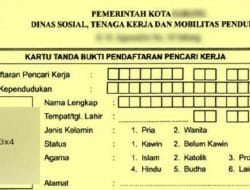 Tahun 2025 Ini, Disnaker Buton Telah Terbitkan 588 Kartu Kuning Untuk Para Pencari Kerja