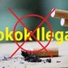 Rokok Ilegal HMIN “Menjamur” di Buton dan Baubau, Bea Cukai Bakal Lakukan Hal Ini
