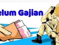 Diduga Anggaran Tak Cukup, Gaji Guru SD dan SMP di Buton Belum Dibayarkan