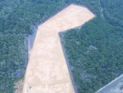 Walhi Kecam Pengrusakan Kawasan Hutan Mangrove, Diduga untuk Pembangunan Rumah Pribadi Gubernur Sultra