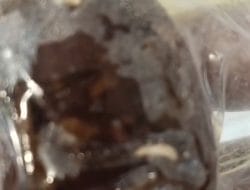 Menu MBG Ditemukan Berulat di Buton, Satgas Beri Rekomendasi Dapur MBG Gunung Jaya Ditinjau Ulang