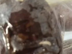 Menu MBG Ditemukan Berulat di Buton, Satgas Beri Rekomendasi Dapur MBG Gunung Jaya Ditinjau Ulang