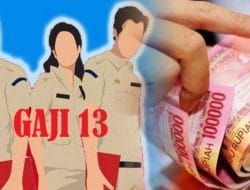 PPPK di Buton Belum Terima Gaji ke-13, Plt Kepala BKAD Minta Maaf: Akan Dibayar Secara Bertahap