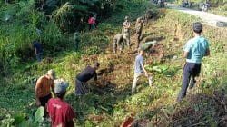Aksi Sosial TNI Bantu Warga Desa Sumbersari Bikin Talud Jalan Longsor